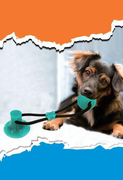 Wall Hanging Dog Toy Ball with Suction Cup for Dogs up to 39 lbs 2