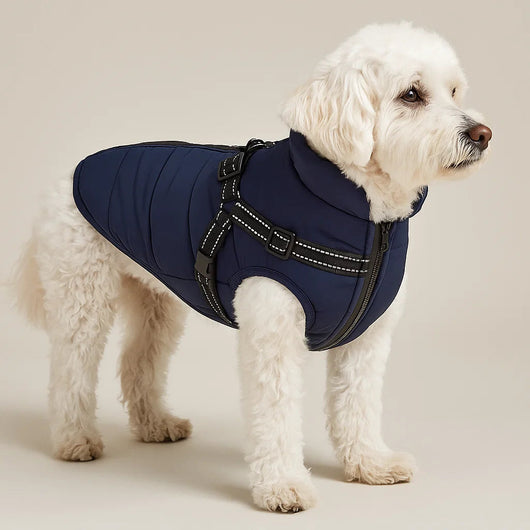 Waterproof Dog Coat with Built-In Harness for Large Dogs – Warm Winter Jacket-Dog Coats & Jackets-Levereau-Green-XS-Levereau
