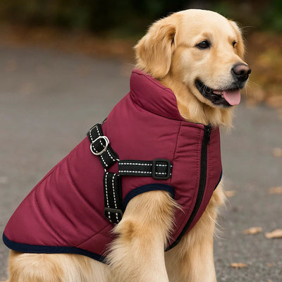 Waterproof Dog Coat with Built-In Harness for Large Dogs – Warm Winter Jacket-Dog Coats & Jackets-Levereau-Green-XS-Levereau