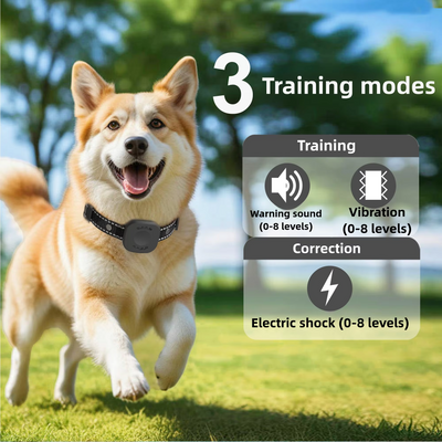 Wireless Dog Fence System with Rechargeable Waterproof Collar for All Breeds 5