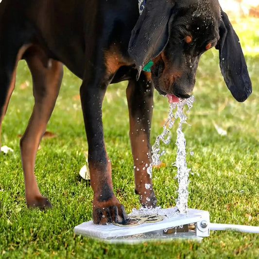 Interactive Dog Toy with Spray Fountain | for Outdoor Cooling and Play Levereau