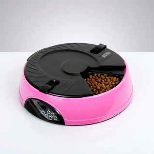 Automatic Pet Feeder with Timer & Portion Control | for Dogs and Cats of All Sizes