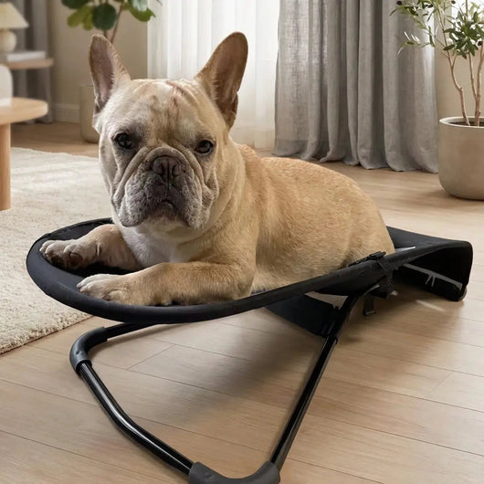 Dog Chair with Non-Slip Frame | Comfortable Rocking Retreat for All Sizes of Pets Levereau