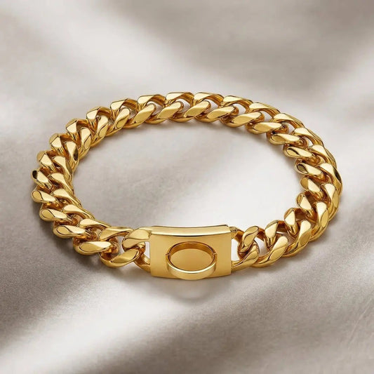 Dog Collar with Gold Chain | Elegant Design for All Dog Sizes Levereau