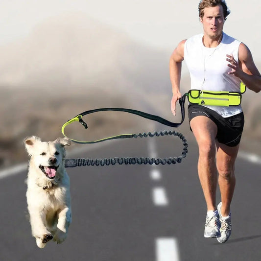 Dog Leash with Adjustable Waist Belt | for Hands-Free Jogging and Walking with Dogs Levereau