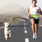 Dog Leash with Adjustable Waist Belt | for Hands-Free Jogging and Walking with Dogs