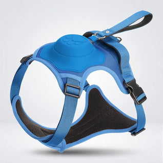 Dog Leash with Anti-Pull Harness | Adjustable and Comfortable for All Dog Sizes