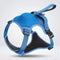Dog Leash with Anti-Pull Harness | Adjustable and Comfortable for All Dog Sizes