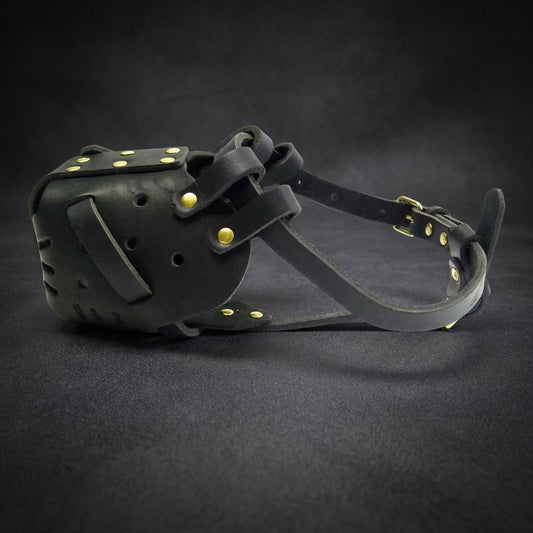Dog Muzzle | Comfortable Basket Muzzle for Medium and Large Dogs with Soft Design and Easy Fit-Dog Muzzles-Levereau-L-Levereau