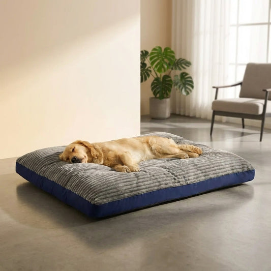 Orthopedic Dog Bed with Removable Cover | for Large Dogs with Joint Support and Easy Care-Dog Beds-Levereau-Gray-Levereau