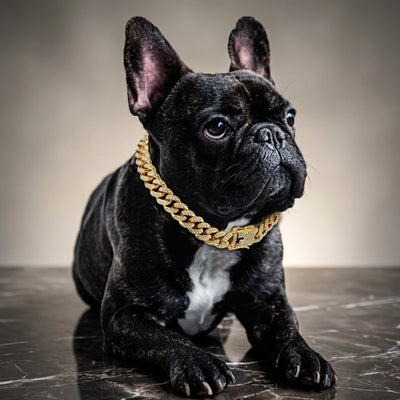 BlingPaws | Diamond Cuban Dog Collar with Secure Buckle for Small to Large Dogs-Dog Collars-Levereau-Gold-XS-Levereau