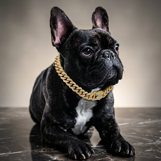 BlingPaws | Diamond Cuban Dog Collar with Secure Buckle for Small to Large Dogs-Dog Collars-Levereau-Gold-XS-Levereau